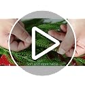 Purple Star 1N 15-Pack Christmas Norfolk Pine Branches 19" Artificial Greenery for Holiday Decor