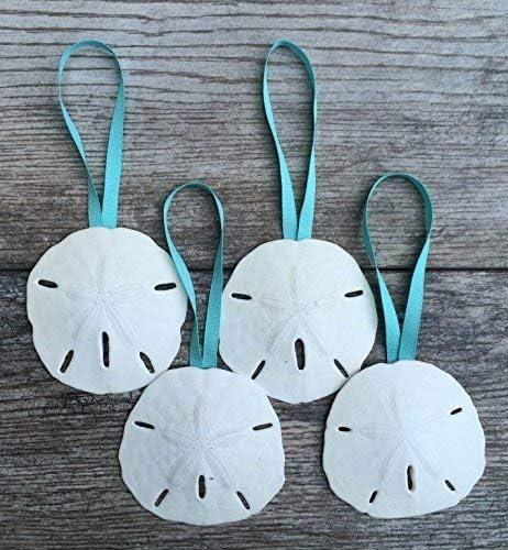 Set of 4 Natural Sand Dollar Ornaments with Aqua Ribbon - Beach Wedding Decor + Free Nautical eBook