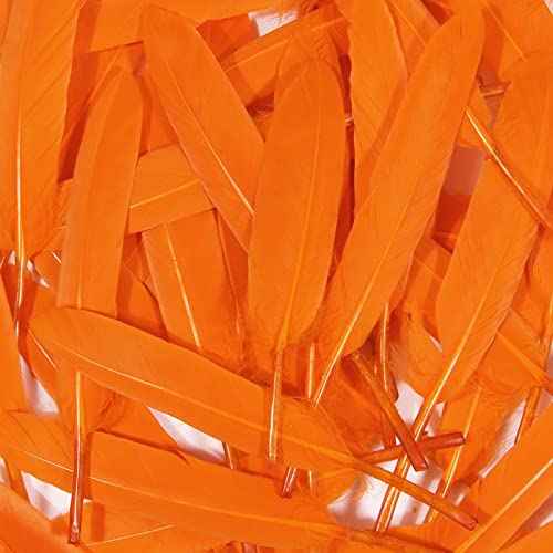 FeelfunFeather 120pcs Orange Goose Cochettes Feather Natural Bulk 4-6 inch 10-15cm for Wedding Party Christmas Halloween Decorations DIY Crafts Goose Cochettes Feather