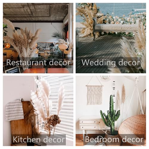 40 Inch Natural Pampas Grass Stems - Boho Wedding & Home Decor - Variation of THIS listing