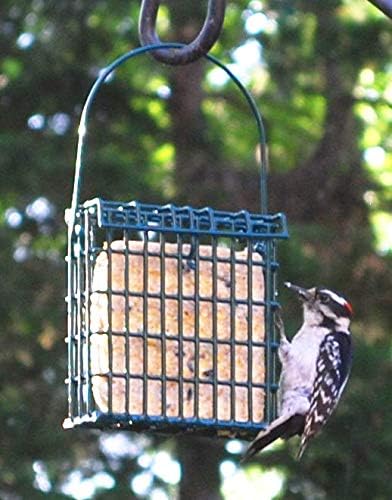 Wildlife Sciences Jumbo Suet Cake 20 Pack - 10 Peanut & 10 Berry | 10.5 oz. Suet Cakes for Wild Birds