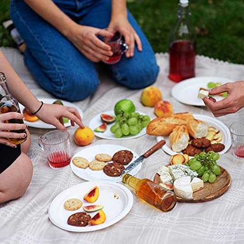 500 Pack Compostable 10.25 Inch Sugarcane Fiber Plates - White, Heavy-Duty