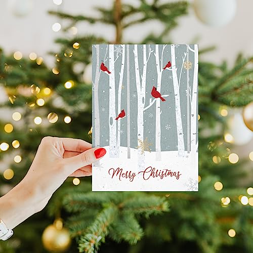 Tree-Free Greetings Christmas Cardinal Holiday Card - Winter Birch Forest, 1 Card