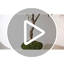 6ft Faux Olive Tree with Natural Textured Trunk & Lifelike Leaves - Realistic Indoor Decor