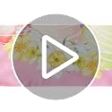 Mindsoft Seasonal Holiday Pillow Covers 20-Pack 18x18 Fall Christmas Decor