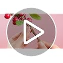 Cindeer Classic 24Pcs Artificial Red Berries Holly Stem Decor for Christmas