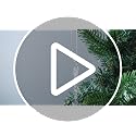Patelai 64 Pcs Clear Glass Icicle Ornaments for Christmas Tree - 32x3.5in & 32x5.5in - Hanging Wire Included