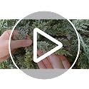 Celeora 9FT Artificial Cedar Garland Real Touch Christmas Greenery for Mantel Decor