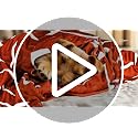 XL Dr Pepper Fleece Blanket - 80x60 Inch Cozy Throw for Couch Bed Travel