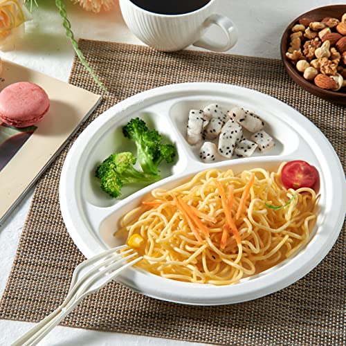 Vplus Compostable Plates 10 Inch 3-Compartment White Pack of 500 - Eco-Friendly Dinnerware