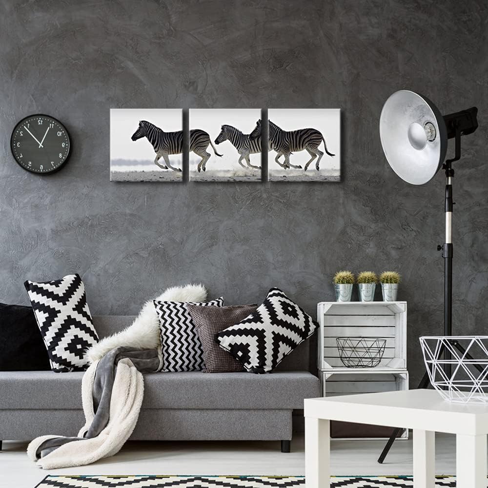 Zebra Canvas Prints Wall Art - Black & White Animal Paintings for Living Room, Bedroom, Bathroom - 3 Piece Stretched Artwork
