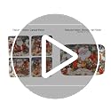 Large Certified International Magic of Christmas 11" Ceramic Dinner Plates Set of 4 - Festive Santa & Woodland Scenes, Dishwasher & Microwave Safe