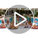 Metal Christmas in July Sign Tabletop Decor with Wooden Base