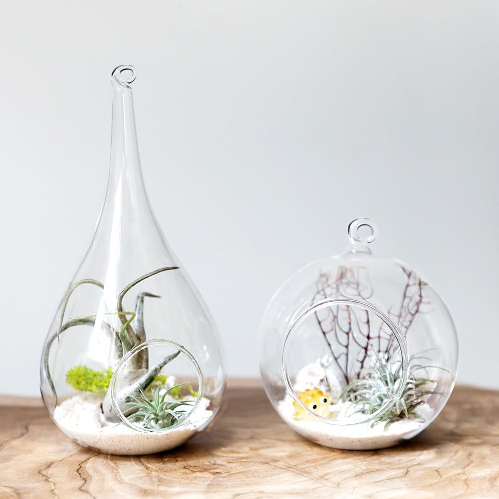 Glass Hanging Planter Set - 2 Pack Terrarium Vases for Succulents & Air Plants - Home Decor Gift