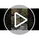 Squirrel Buster Classic Squirrel-proof Bird Feeder w/4 Feeding Ports,