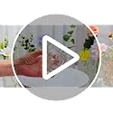 32 Pcs Clear Glass Bud Vases Set - Vintage Mini Flower Vases for Weddings & Events - Variation 32