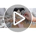 Champagne Christmas Decor Set - Snowy Wreaths, Garlands & Tree Ornaments