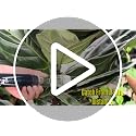 BugZooka Bug Vacuum with Long Nozzle - Humane Insect Catcher for All Ages