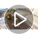 WLIVE 39.4-Inch Farmhouse Coffee Table with Storage Shelf - White, Variation of White / 39.4"