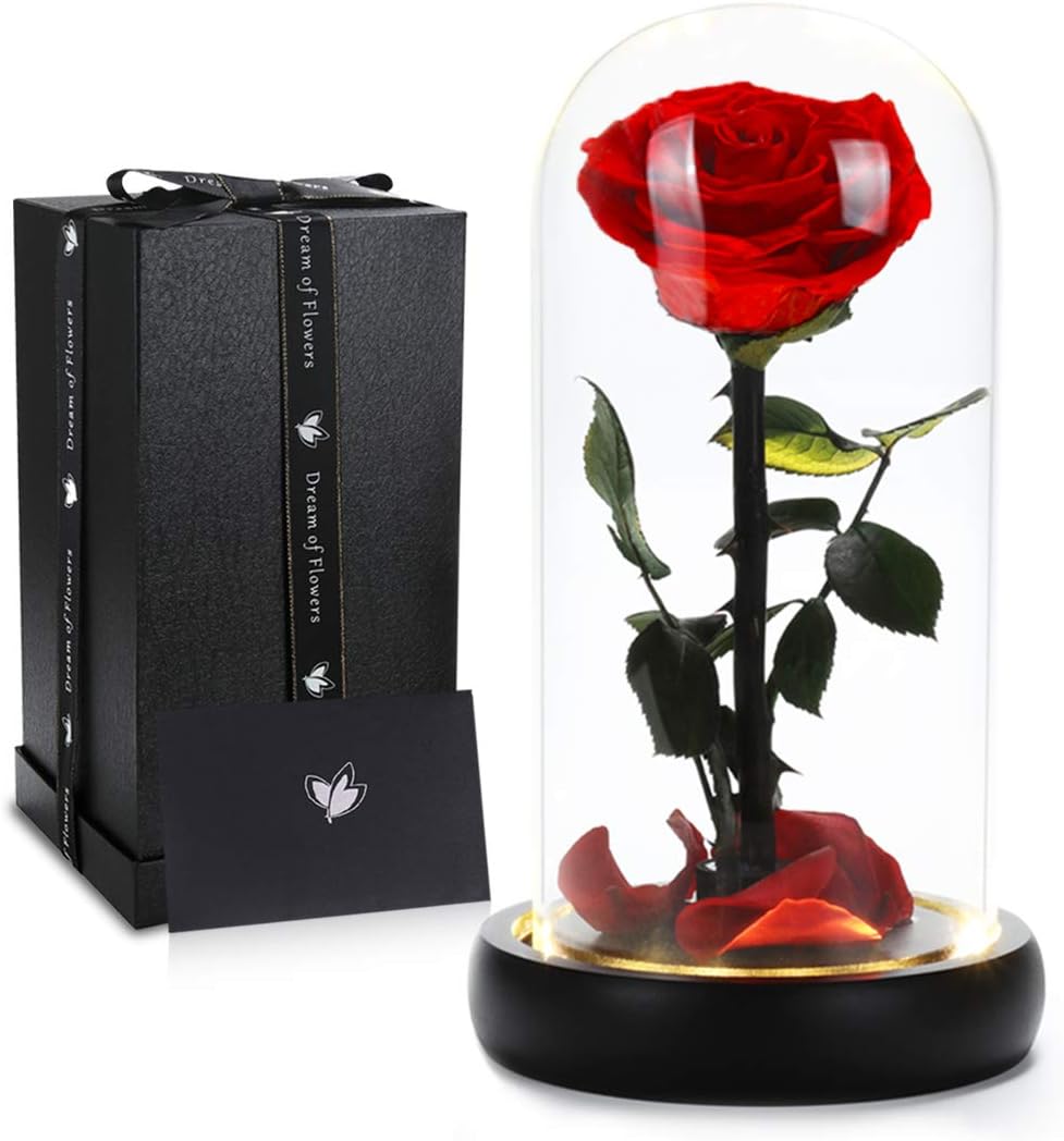 Birthday Gifts for Women,Beauty and the Beast Rose in Glass Dome,Preserved Rose with Warm Lights,Flower for Delivery Prime,Forever Flower Gifts for Women Mom Wife Girlfriend, Anniversary Birthday Gift