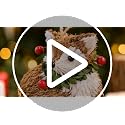 Woodland Animal Christmas Ornaments 8-Piece Set - Sisal Forest Critters for Tree and Wreath
