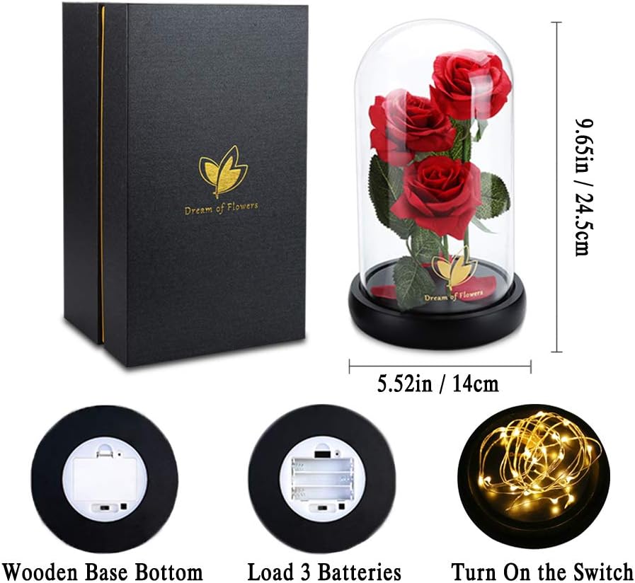 Birthday Gifts for Women,Beauty and the Beast Rose in Glass Dome,Preserved Rose with Warm Lights,Flower for Delivery Prime,Forever Flower Gifts for Women Mom Wife Girlfriend, Anniversary Birthday Gift