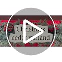 Escrio 2 pcs 6 ft Real Touch Cedar Garland - Christmas Greenery for Mantle, Indoor/Outdoor