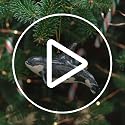 Rengöra Orca Killer Whale Christmas Ornament Hand-Painted Coastal Marine Animal