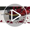 Preserved Roses Flowers for Delivery 27 Pcs, Mothers Day Rose Gifts
