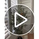6ft Artificial Olive Tree Indoor - Tall Faux Plant with Realistic Leaves & Olives - Variation 1
