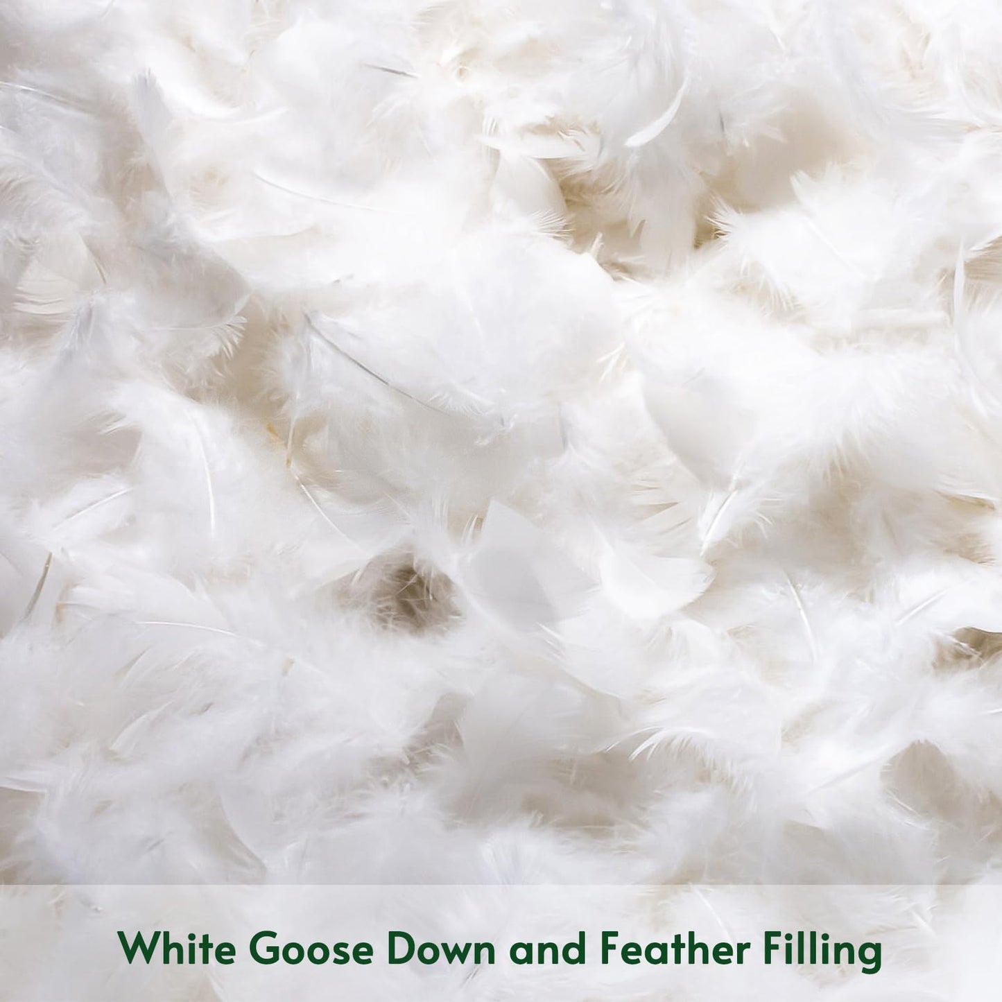 OTOSTAR Pack of 2 Down and Feather Throw Pillow Inserts, 12 x 20 Soft Fluffy Pillow Inserts with 100% Cotton Cover Decorative Pillows for Sofa Couch Bed-White