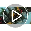 Shearly Green Christmas Garland with Lights 9FT Indoor Outdoor Decor