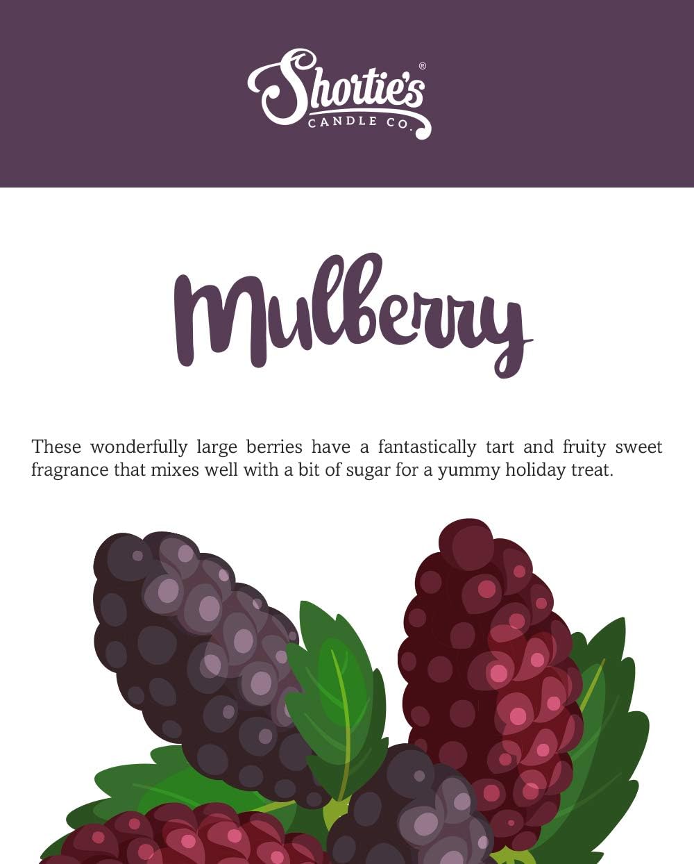 Highly Scented Sugarplum Cranberry Wax Melts Multi Pack - 6 Oz Natural Oil Air Fresheners for Christmas