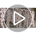 YRIOWMI 10-Pack 59FT Pink Cherry Blossom Garland for Wedding & Home Decor