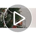 Christmas Tree Ornaments Set 132pcs Red Green Gold Festive Decorations - Roseleaf
