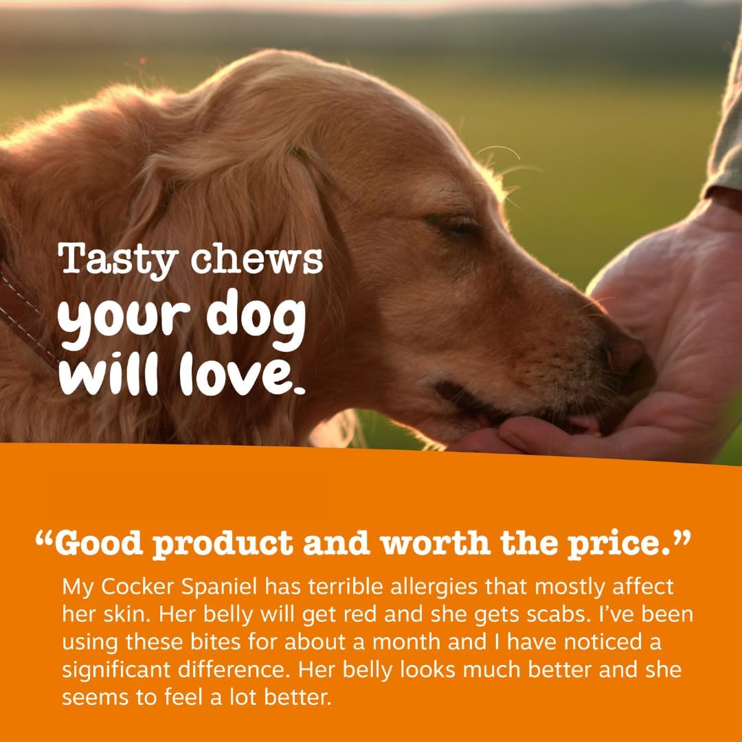 Zesty Paws Allergy Immune Bites - Dog Allergy Chews for Itchy Skin & Ears | Lamb Flavor, 90ct