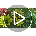 28 Inch Artificial Agave Plants Outdoor Set of 2 - Realistic Faux Succulents for Patio Garden & Porch, UV Resistant, No Pot, Green - Ttranewsoo 28" Green-2