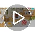 120 Pcs Disposable Dessert Plates with Gold Rim & Forks Set - 6.3 Inch for Weddings & Parties