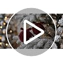 Gnomdcer Velvet Christmas Ball Ornaments 16 Pack Multicolor 2.36in/6cm