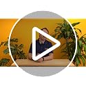 Large Snake Plant in Decorative Pot - Indoor Air Purifying Plant, Low Light, Easy Care