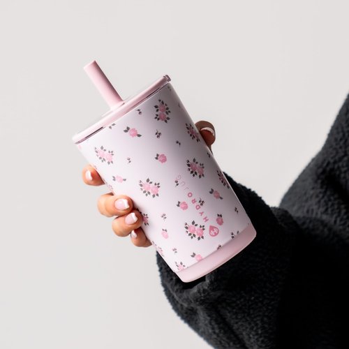 HydroJug Everyday Tumbler 14 oz – Ceramic-Lined Insulated Tumbler with Straw and Soft-Touch Lid, Cup Holder Friendly, Double-Wall Vacuum Insulation, Reusable Travel Cup – Wildrose