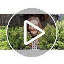 Artificial Boxwood Topiary Outdoor Plants 25.6 Inches - 2 Pack, Realistic Bushes for Garden & Patio