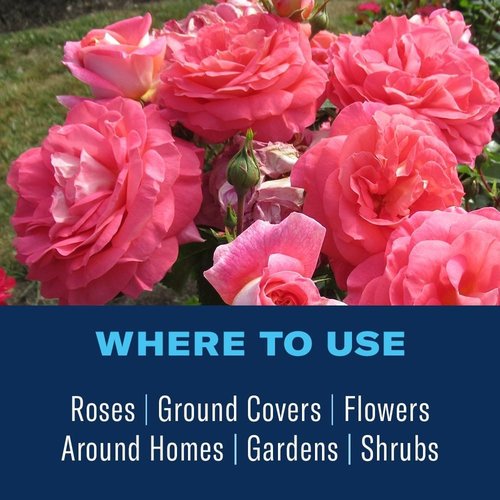 BioAdvanced Insect Killer - Ready-to-Use Plant Bug Spray for Roses & Flowers | 24 oz