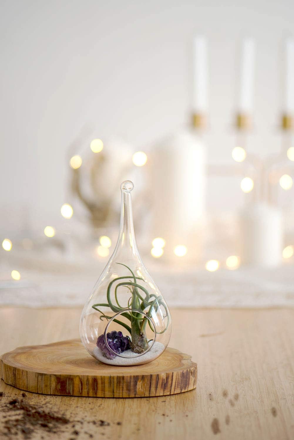 Glass Hanging Planter Set - 2 Pack Terrarium Vases for Succulents & Air Plants - Home Decor Gift