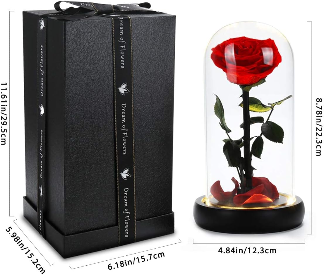 Birthday Gifts for Women,Beauty and the Beast Rose in Glass Dome,Preserved Rose with Warm Lights,Flower for Delivery Prime,Forever Flower Gifts for Women Mom Wife Girlfriend, Anniversary Birthday Gift