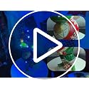 YUETJIN 12" Christmas Elf Figurine with Color-Changing LED Ornaments - Multicolor