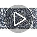 White Slate Blue Queen Quilt Set - 3 Pieces Botanical Cotton Bedspread