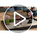 Mini Zen Garden Desk Decor Kit with Rakes, Rocks & Pagoda - 11x8in