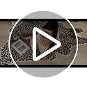 5'2" x 7' Cheetah Print Rug - Faux Animal Skin Area Rug for Bedroom Living Room - Multicolor