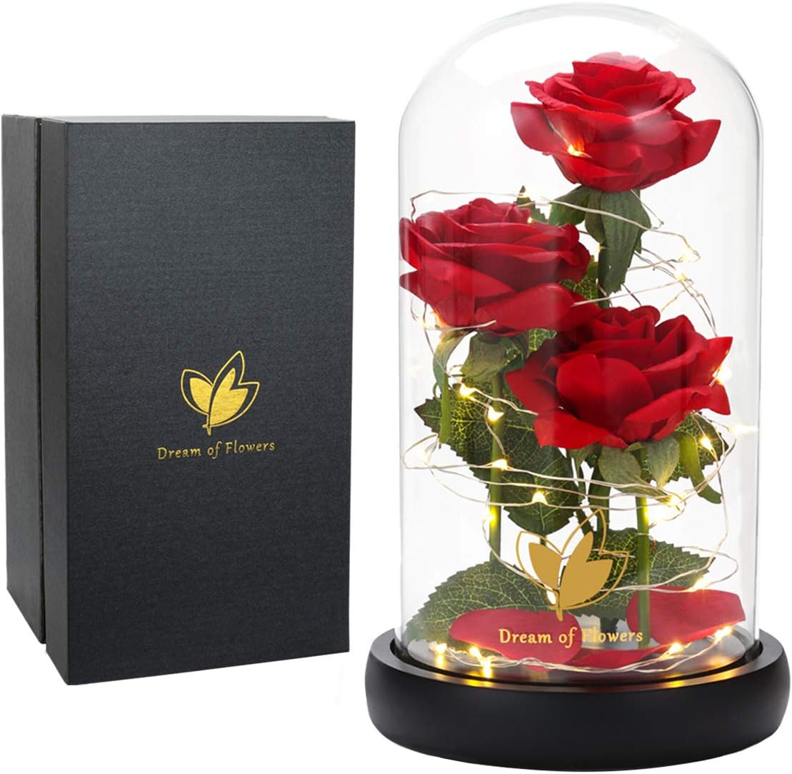 Birthday Gifts for Women,Beauty and the Beast Rose in Glass Dome,Preserved Rose with Warm Lights,Flower for Delivery Prime,Forever Flower Gifts for Women Mom Wife Girlfriend, Anniversary Birthday Gift